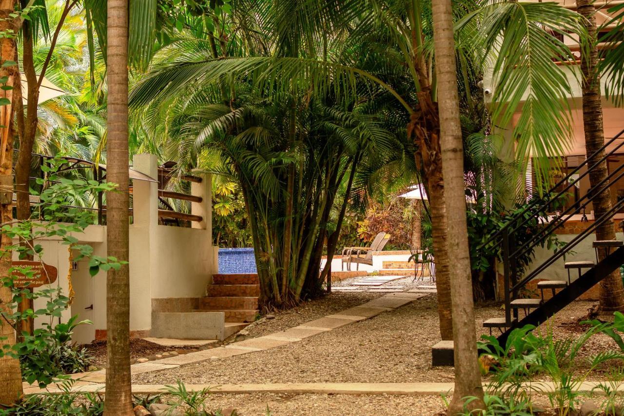 Dreamcatcher Hotel - Atrapasuenos Playa Santa Teresa  Esterno foto